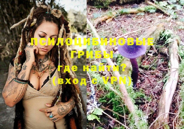 кокс Болотное