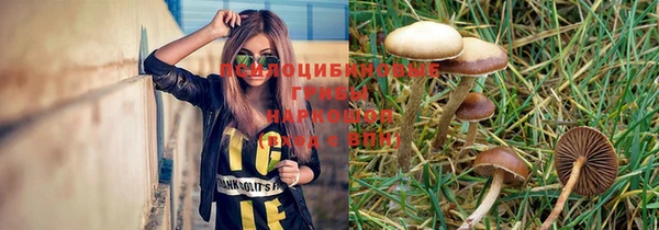 дживик Нефтекумск