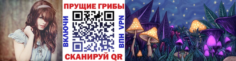 Псилоцибиновые грибы прущие грибы  mega ссылки  Краснознаменск  даркнет сайт 
