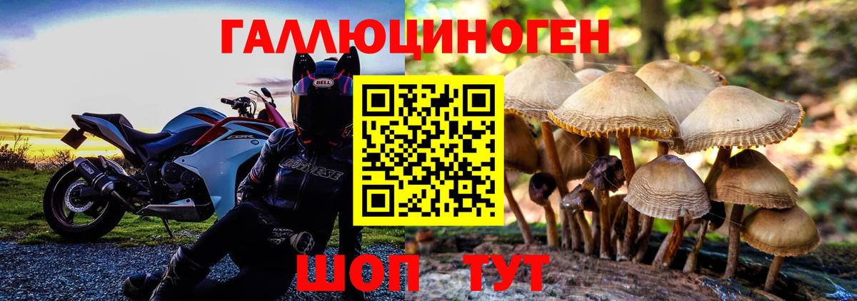 Галлюциногенные грибы GOLDEN TEACHER Краснознаменск